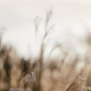 Test Product 3